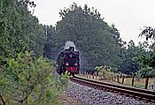 Foto SP_2002_07552: DR 99 4633-6 / Garftitz / 06.07.2002