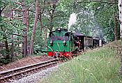 Foto SP_2002_07558: DR 99 4633-6 / Garftitz / 06.07.2002
