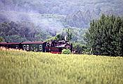 Foto SP_2002_07629: DR 99 4801-9 / Garftitz / 06.07.2002