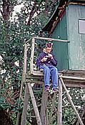 ID: 209: Mirko / Garftitz / 06.07.2002
