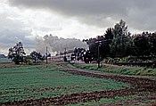 Foto SP_2002_10370: DR 52 8134-0 / Hadamar / 06.10.2002