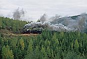 Foto SP_2003_10002: DR 99 5901-6 + DR 99 5902-4 / Drei Annen Hohne / 11.10.2003