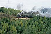 Foto SP_2003_10003: DR 99 5901-6 + DR 99 5902-4 / Drei Annen Hohne / 11.10.2003