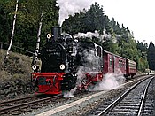 Foto SP_2003_10061: DR 99 6101 / Schierke / 11.10.2003