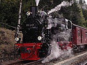 Foto SP_2003_10062: DR 99 6101 / Schierke / 11.10.2003
