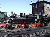 Foto SP_2003_10099: DR 99 5901 / Wernigerode / 12.10.2003
