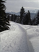 ID: 209: Reisen / Muenchen