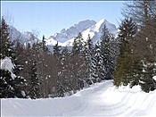 ID: 209: Reisen / Muenchen