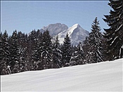 ID: 209: Reisen / Muenchen