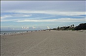 ID: 209: Strand / Indiatlantic, FL / 17.07.2005
