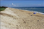 ID: 209: Strand / Melbourne Beach, FL / 18.07.2005