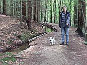 Foto SP_2006_05740: Reisen / Bayerischer Wald / 2006