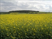 Foto SP_2006_05765: Reisen / Bayerischer Wald / 2006