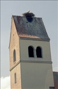 ID: 209: Reisen / Suedfrankreich / 2006