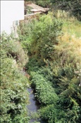 ID: 209: Reisen / Suedfrankreich / 2006