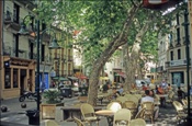 ID: 209: Reisen / Suedfrankreich / 2006