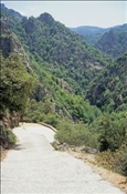ID: 209: Reisen / Suedfrankreich / 2006