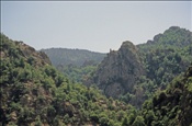 ID: 209: Reisen / Suedfrankreich / 2006