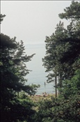 ID: 209: Reisen / Litauen / Sommer 2006