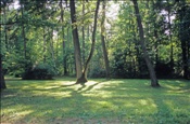ID: 209: Reisen / Litauen / Sommer 2006