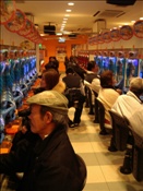ID: 209: Reisen / Japan 08.01 - 20.01.2007