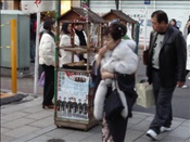 ID: 209: Reisen / Japan 08.01 - 20.01.2007