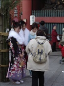 ID: 209: Reisen / Japan 08.01 - 20.01.2007