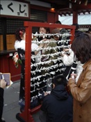 ID: 209: Reisen / Japan 08.01 - 20.01.2007
