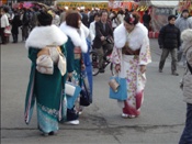 ID: 209: Reisen / Japan 08.01 - 20.01.2007