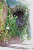 ID: 209: Altstadt / Kostrzyn / 14.07.2007