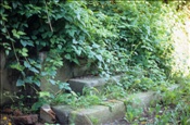 ID: 209: Altstadt / Kostrzyn / 14.07.2007