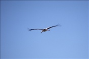 ID: 209: Reisen / Polen / Sommer 2007
