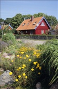 ID: 209: Reisen / Litauen / Sommer 2007