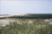 ID: 209: Reisen / Litauen / Sommer 2007