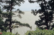 ID: 209: Reisen / Litauen / Sommer 2007