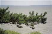 ID: 209: Reisen / Litauen / Sommer 2007
