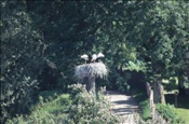 ID: 209: Reisen / Litauen / Sommer 2007