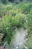 ID: 209: Reisen / Litauen / Sommer 2007