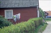 ID: 209: Reisen / Litauen / Sommer 2007
