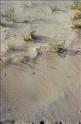 ID: 209: Reisen / Litauen / Sommer 2007