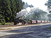 ID: 209: DR 99 5901 + DR 99 5902 / Schierke / 01.09.2007