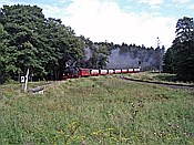 ID: 209: DR 99 7243-1 / Drei Annen Hohne / 01.09.2007