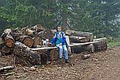 ID: 209: Reisen / Oesterreich + Bayern / Herbst 2007