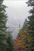 ID: 209: Reisen / Oesterreich + Bayern / Herbst 2007