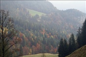 ID: 209: Reisen / Oesterreich + Bayern / Herbst 2007