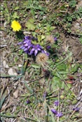 ID: 209: Reisen / Oesterreich + Bayern / Herbst 2007