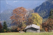 ID: 209: Reisen / Oesterreich + Bayern / Herbst 2007