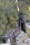 ID: 209: Reisen / Oesterreich + Bayern / Herbst 2007