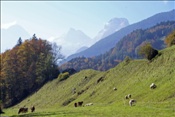 ID: 209: Reisen / Oesterreich + Bayern / Herbst 2007