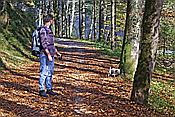 ID: 209: Reisen / Oesterreich + Bayern / Herbst 2007